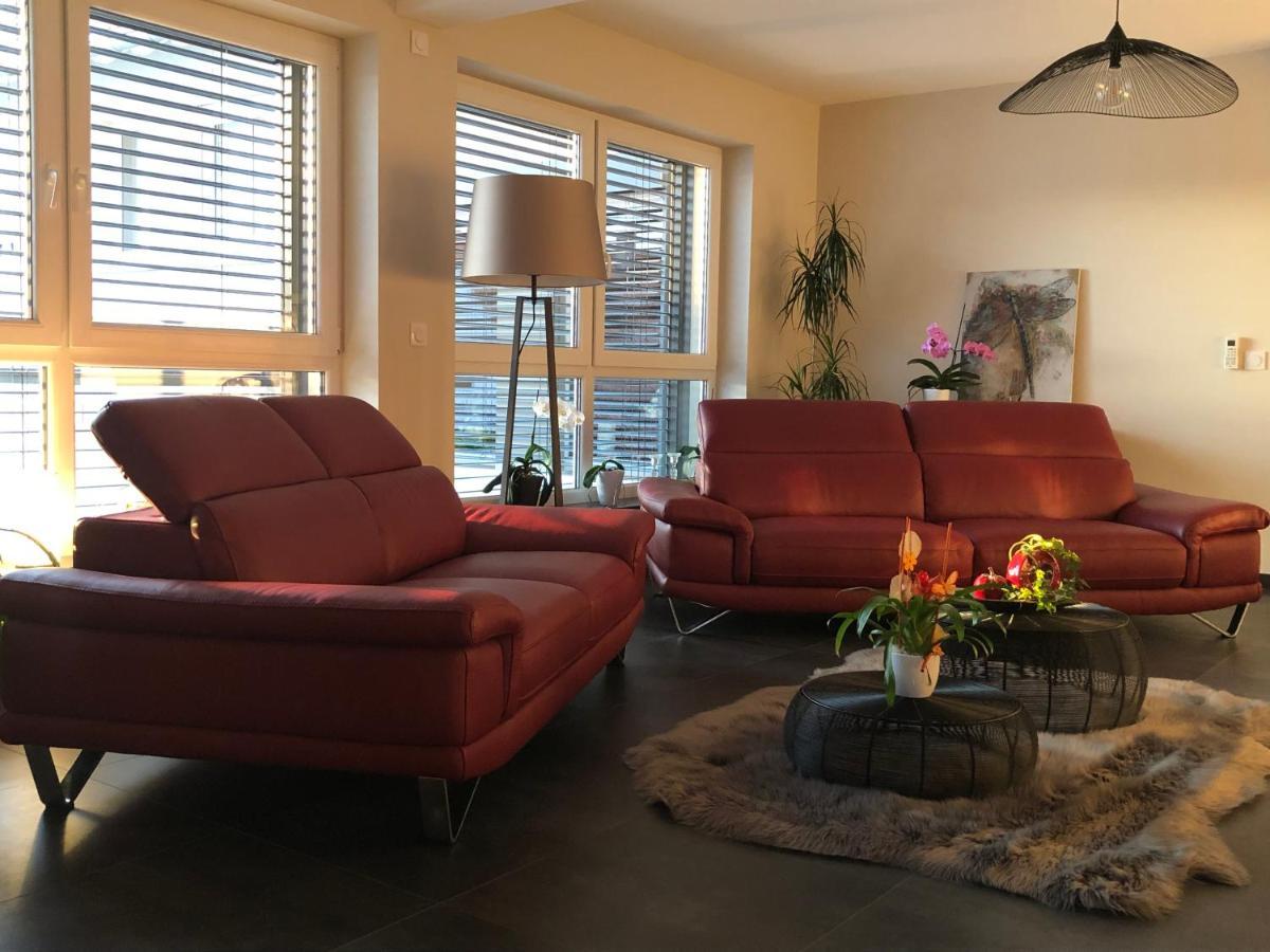 Maison D Hotes Coeur De Village Alsace & Spa Rohrwiller エクステリア 写真